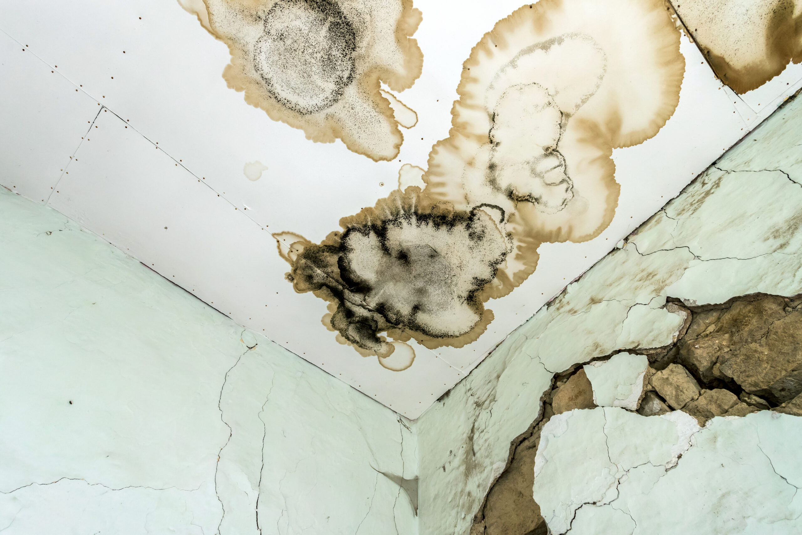 Covered Perils Water Damage