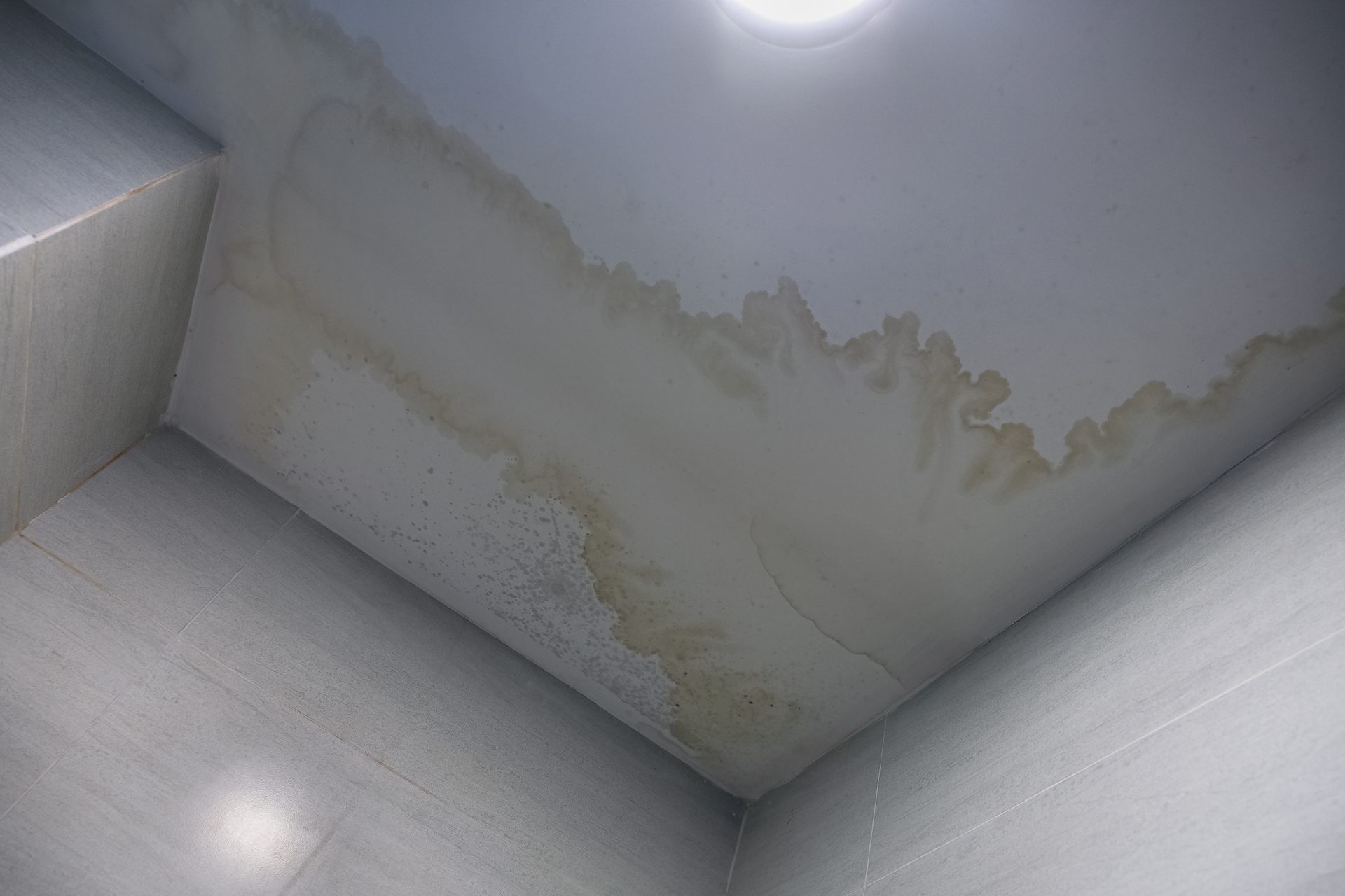 Does house insurance cover a leaking roof
